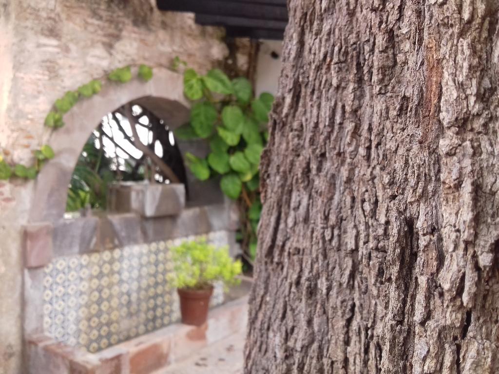 Hotel & Spa Dona Urraca San Miguel De Allende Exterior foto